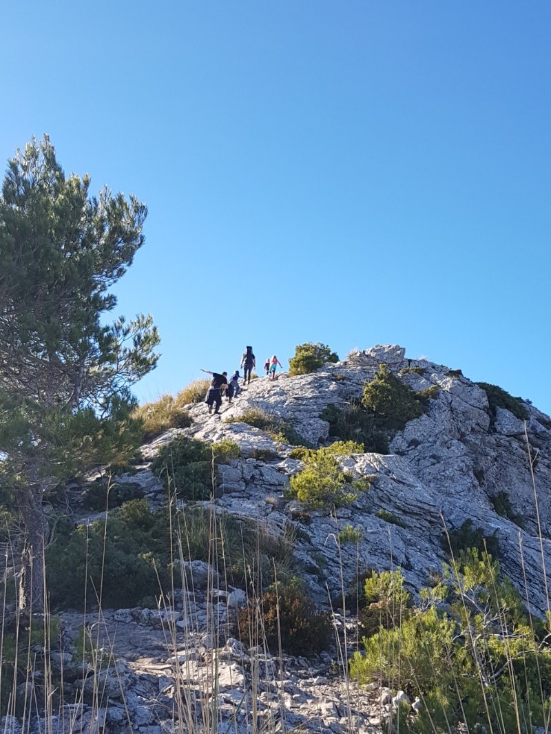 Kuppe des Puig de l'Ofre