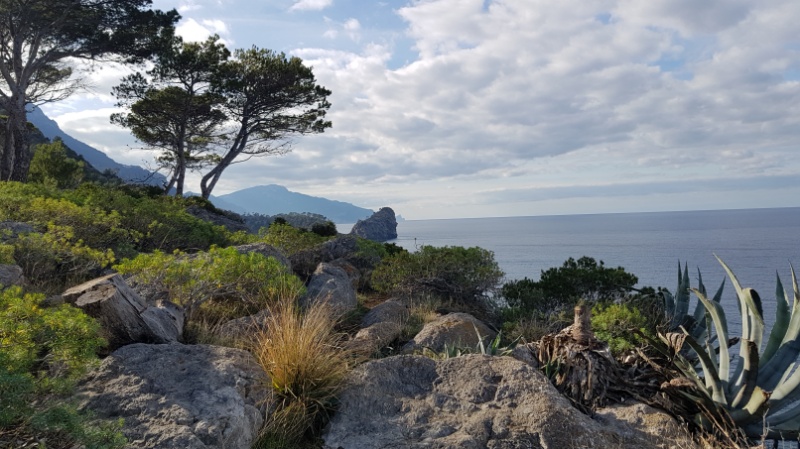 Ausblick an der Westküste Mallorcas