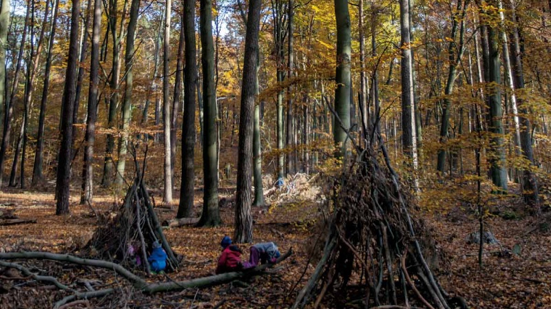 Tipis bauen im Wald, Foto: Till Budde