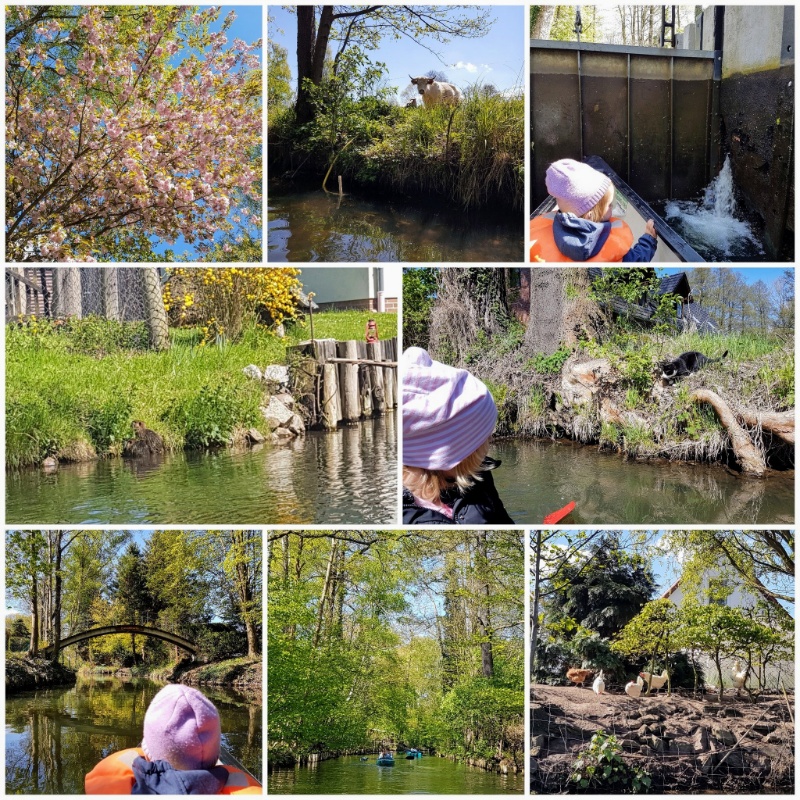 mit Kindern auf Paddeltour im Spreewald