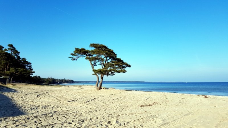 Mittelmeerfeeling am Strand von Südschweden, bei Åhus