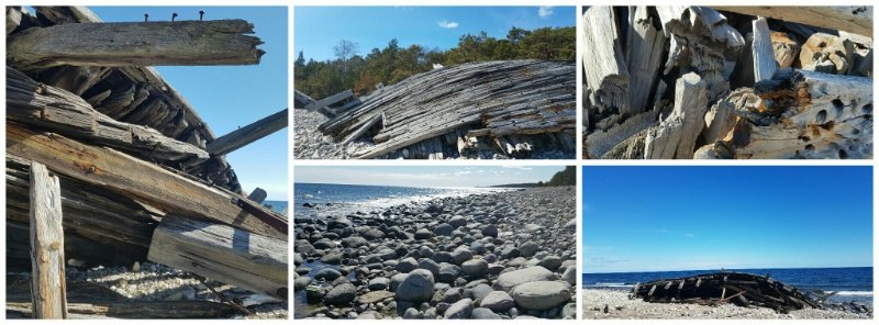 Schiffswrack Swick auf Öland, im schwedischen Zauberwald Trollskogen