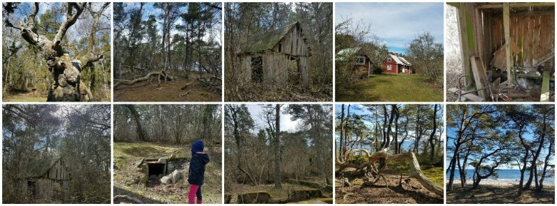 Mit den Kindern auf Öland, im schwedischen Zauberwald Trollskogen