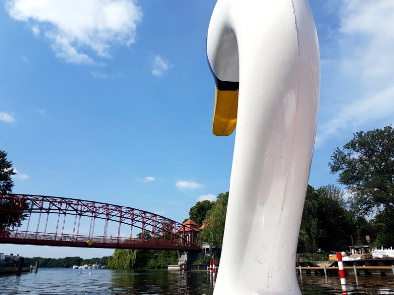 Tretbootfahren auf dem Tegeler See