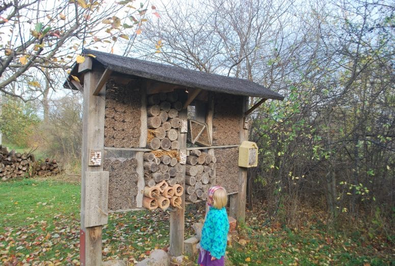 linum brandenburg ausflug familie kinder reisen