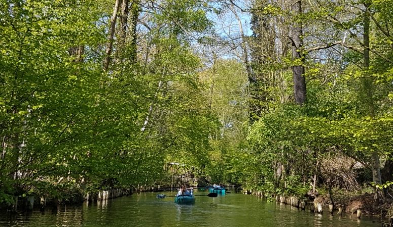 spreewald