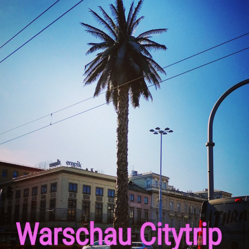 Warschau, Warsaw, Polen, Poland, Citytrip, Reisen, Urlaub, Ferien, Stadt, Wochenendtrip, verreisen, Palm, Palme Art